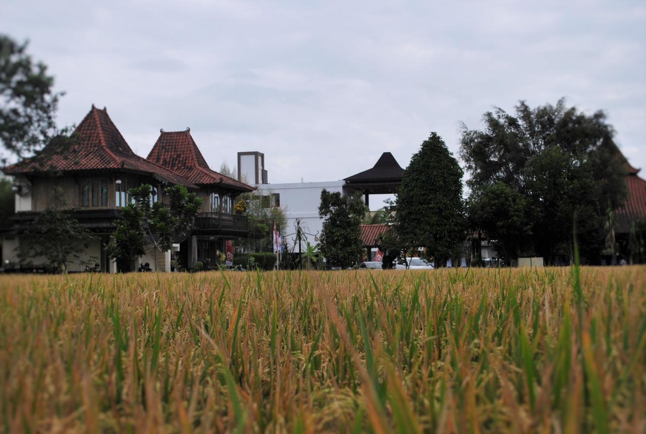 Java Village Resort By Homee Yogyakarta Sleman  Luaran gambar