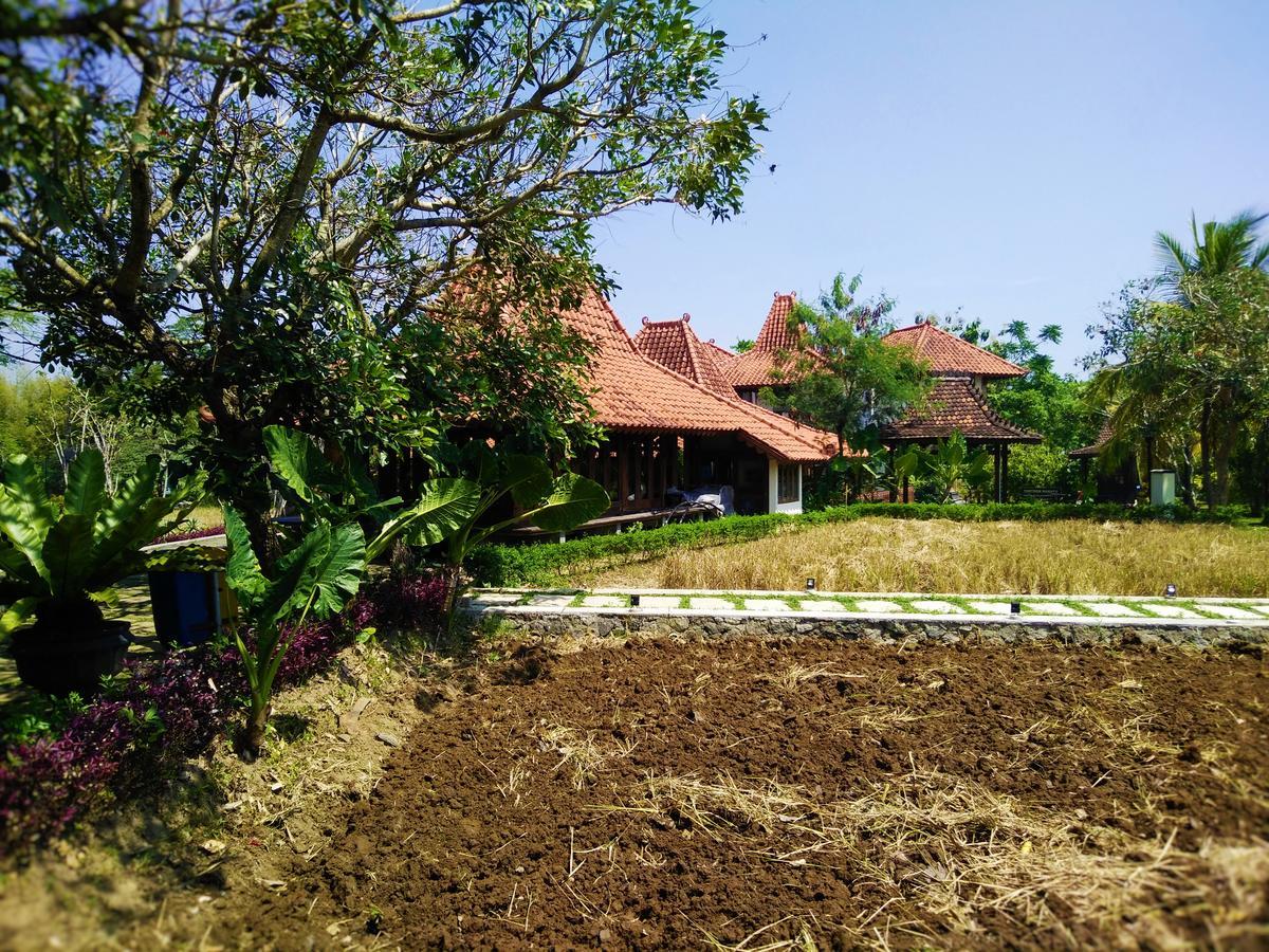 Java Village Resort By Homee Yogyakarta Sleman  Luaran gambar